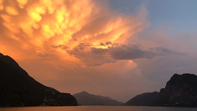 Von der Abendsonne beleuchtet Mammatuswolken über dem Luganersee. Von der Abendsonne beleuchtet Mammatuswolken über dem Luganersee.