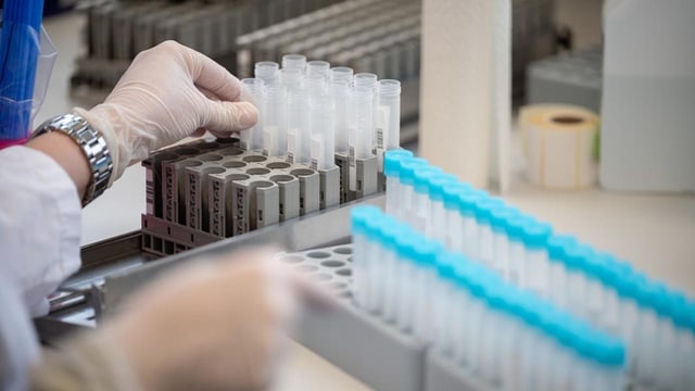 PCR-Test wird nicht bezahlt, weil in Österreich ausgewertet