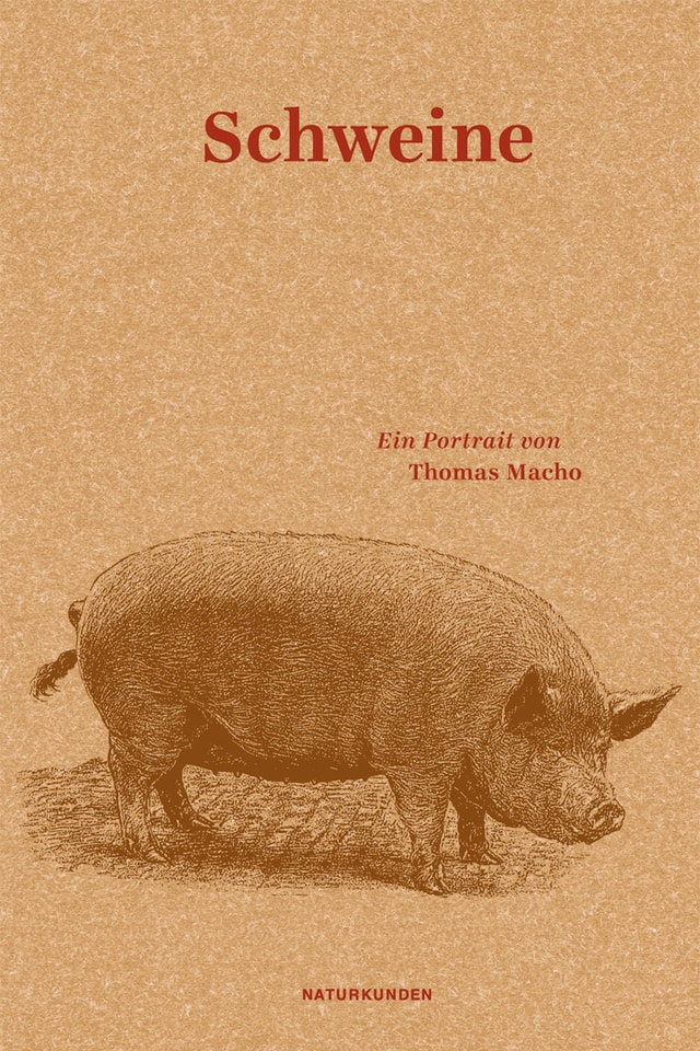 Cover des Buches "Schweine" von Thomas Macho Cover des Buches "Schweine" von Thomas Macho