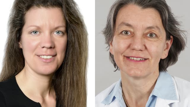 Plötzlich Taub Auf Einem Ohr www.srf.ch