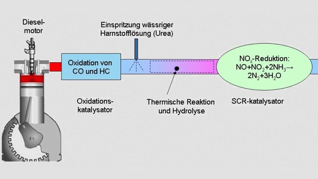 Schema Schema