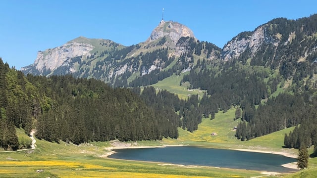 Apere Landschaft am Sämtisersee. Apere Landschaft am Sämtisersee.