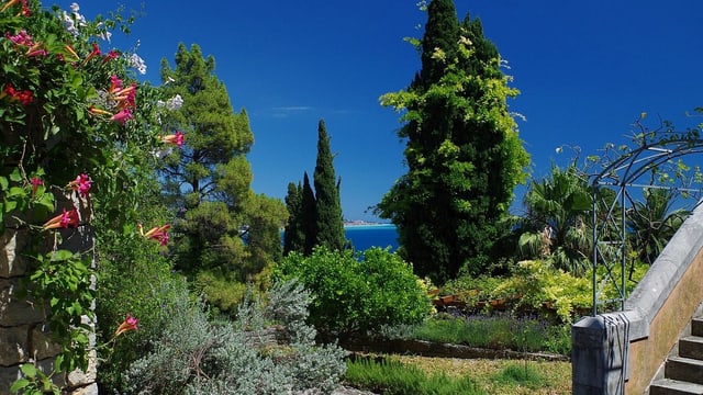 Video «Magische Gärten – Italien: Botanischer Garten von Hanbury» abspielen Video «Magische Gärten – Italien: Botanischer Garten von Hanbury» abspielen