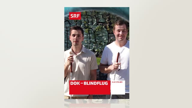 Blindflug Blindflug
