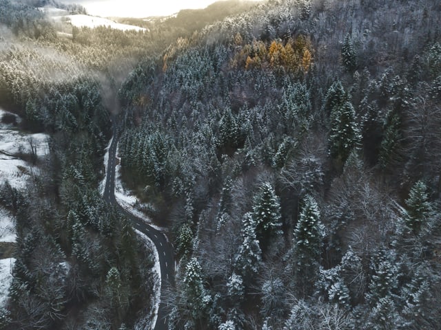 Bäume und Strasse aus der Vogelperspektive mit etwas Schnee.