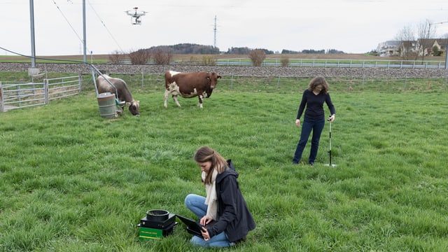 Zwei Forscherinnen machen Messungen auf einer Kuhweide. Über der Wiese schwebt eine Drohne Zwei Forscherinnen machen Messungen auf einer Kuhweide. Über der Wiese schwebt eine Drohne