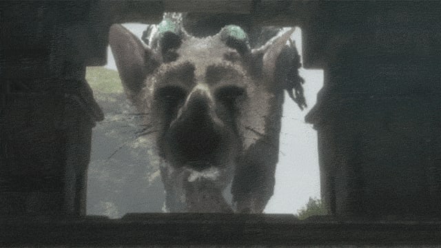 Games The Last Guardian Neun Jahre In Der Entwicklungsholle Radio Srf 3 Srf