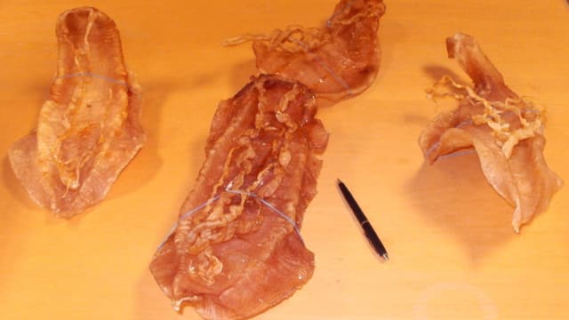 Drei Schwimmblasen im Grössenvergleich mit einem Kugelschreiber auf einem Tisch. Drei Schwimmblasen im Grössenvergleich mit einem Kugelschreiber auf einem Tisch.