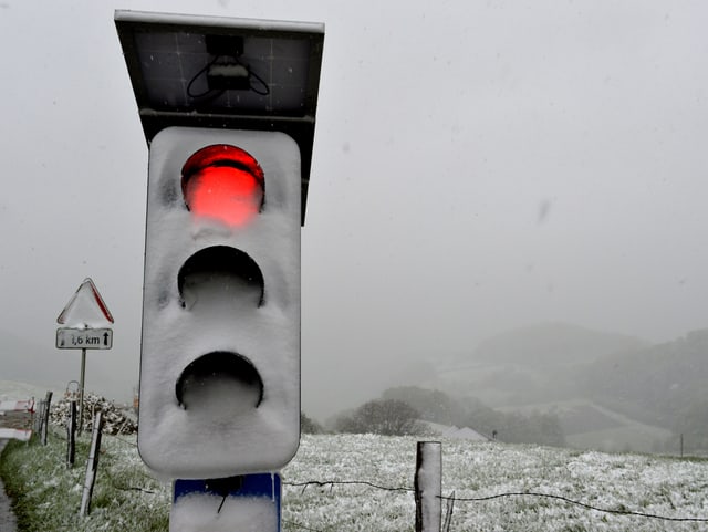 Verschneite Ampel