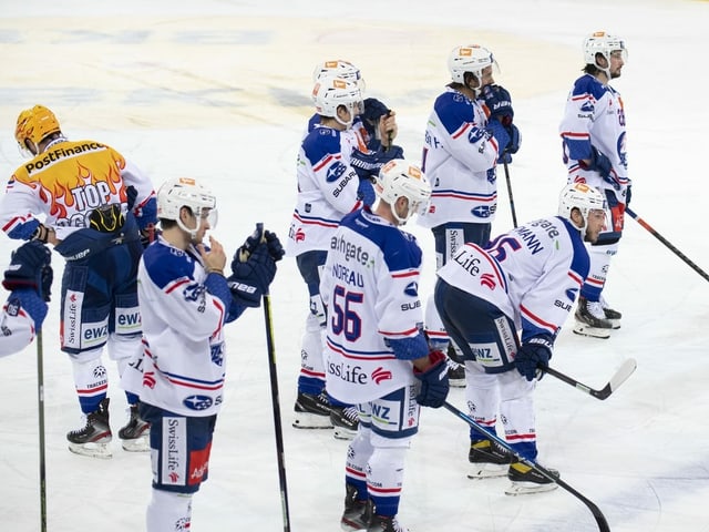 Die Spieler der ZSC Lions. Die Spieler der ZSC Lions.