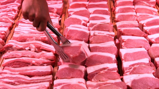 Schweinefleisch, eine Hand mit Zange platziert die Stücke. Schweinefleisch, eine Hand mit Zange platziert die Stücke.