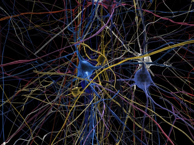 Das Bild zeigt ein neuronales Netzwerk, das als Simulation aus Labordaten entstanden ist. 