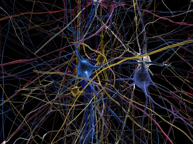 Das Bild zeigt ein neuronales Netzwerk, das als Simulation aus Labordaten entstanden ist. Das Bild zeigt ein neuronales Netzwerk, das als Simulation aus Labordaten entstanden ist.