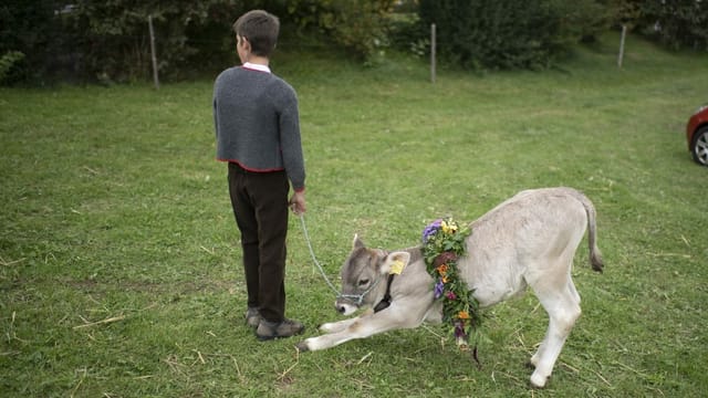Knabe mit kalb am Strick Knabe mit kalb am Strick