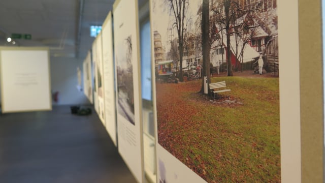 Ausstellung in der Stadtgärtnerei Zürich Ausstellung in der Stadtgärtnerei Zürich