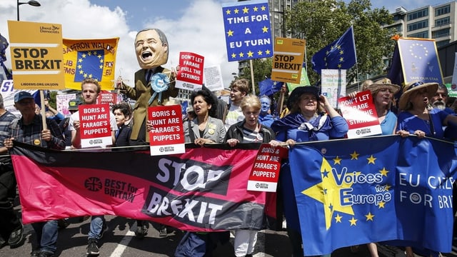 Demonstranten gegen den Brexit Demonstranten gegen den Brexit
