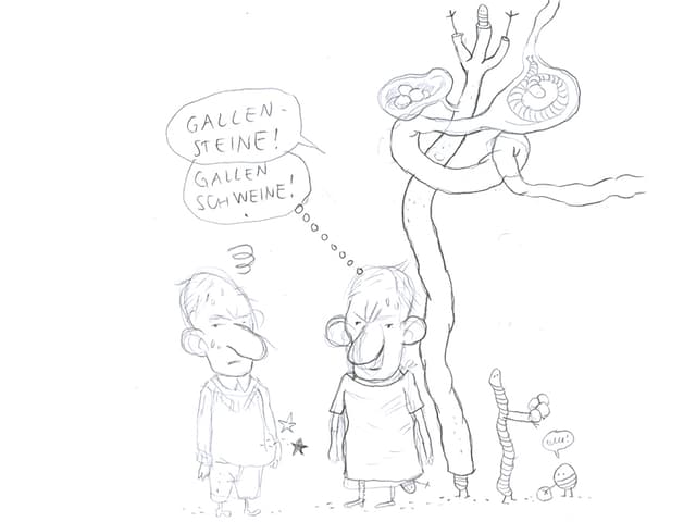 Gallensteine? Bandwürmer? Gallensteine? Bandwürmer?