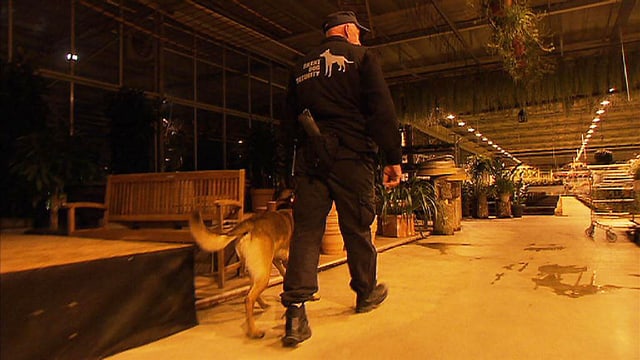 Security und Schäferhund Security und Schäferhund