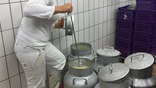 Eine Frau rührt mit einem Stab in einem grossen Kessel mit Molke. Eine Frau rührt mit einem Stab in einem grossen Kessel mit Molke.