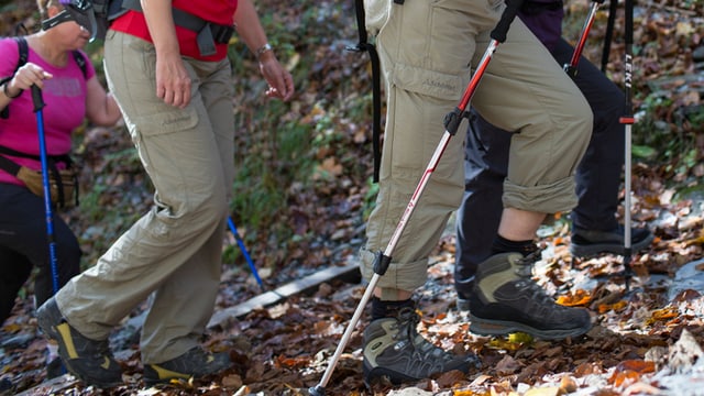 Frauen beim Wandern. Wanderschuhe und Stöcke. Frauen beim Wandern. Wanderschuhe und Stöcke.