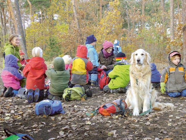 Kinder, Erwachsene und ein Hund sitzen im Wald. Kinder, Erwachsene und ein Hund sitzen im Wald.
