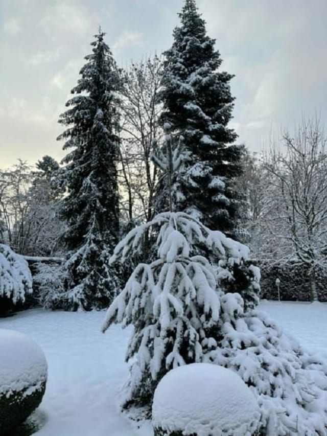 Verschneiter Garten