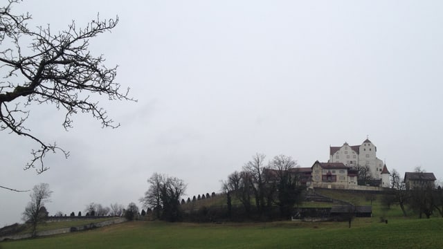 Totalansicht von Schloss Wildegg. Totalansicht von Schloss Wildegg.