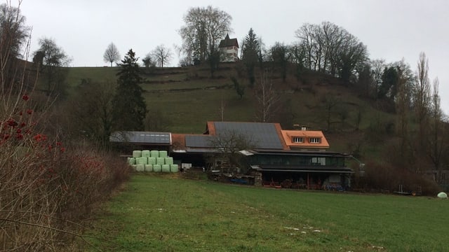 Ein Bild des Mooshof in Lenzburg. Der Hof liegt unterhalb des Schlosses. Ein Bild des Mooshof in Lenzburg. Der Hof liegt unterhalb des Schlosses.