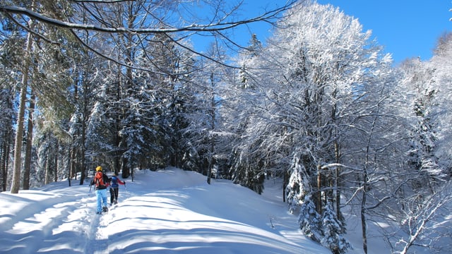 Der Winter gibt sich noch nicht geschlagen. Winterliche Schwägalp am 26. Februar. Der Winter gibt sich noch nicht geschlagen. Winterliche Schwägalp am 26. Februar.