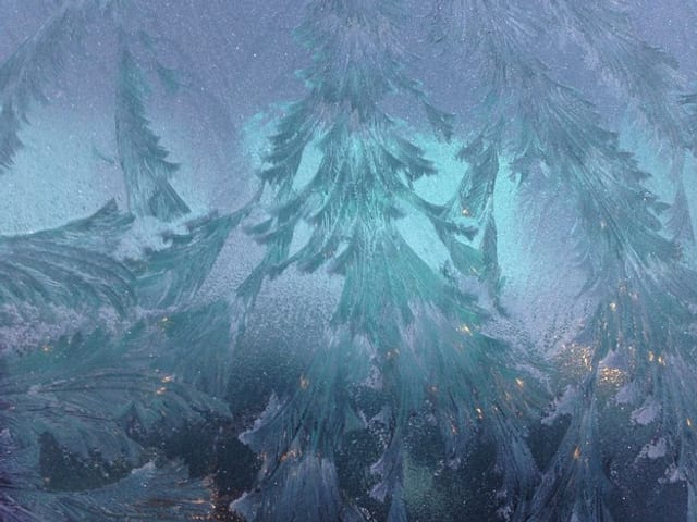 Schöne Eisblumen an einer Scheibe.