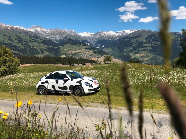 Ein Auto mit Kuhfell-Muster steht auf einer Wiese.