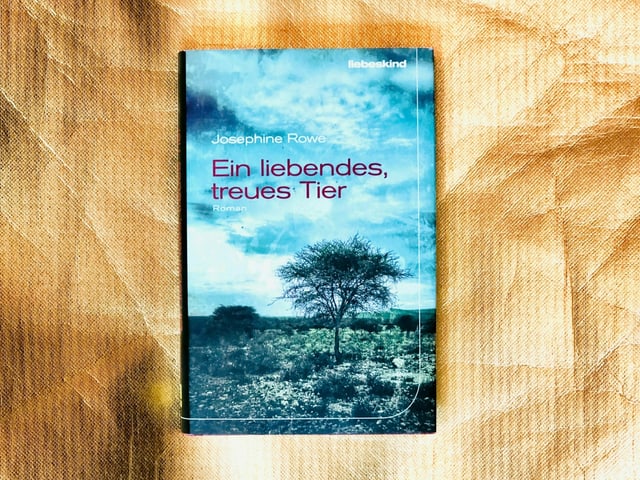 Der Roman «Ein liebendes, treues Tier» von Josephine Rowe vor goldigem Hintergrund Der Roman «Ein liebendes, treues Tier» von Josephine Rowe vor goldigem Hintergrund