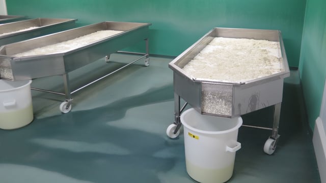 Gefäss mit Frischziger drin Gefäss mit Frischziger drin