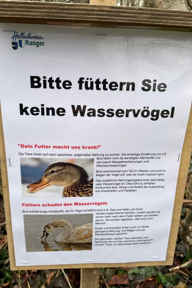Plakat Plakat