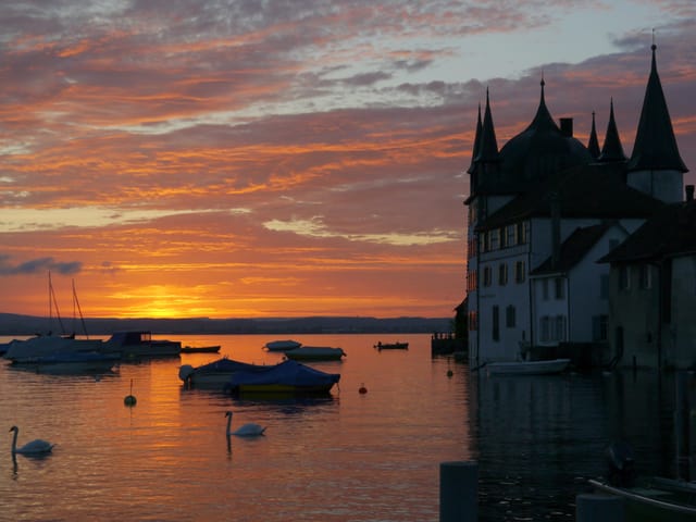 Sonnenaufgang über dem Bodensee mit antikem Gebäude am Ufer bei Steckborn im Thurgau.
