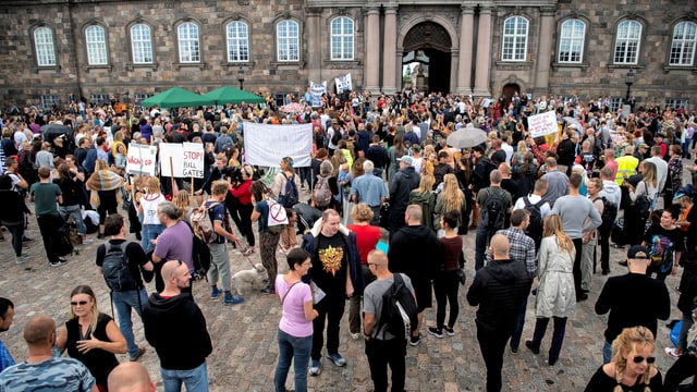 Protestierende. Protestierende.