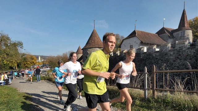 Schloss Hallwyl Schloss Hallwyl