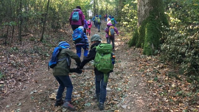 Schulkinder auf einem Waldweg. Schulkinder auf einem Waldweg.