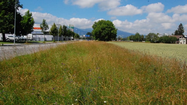 Unüberbautes Landstück in Thun. Unüberbautes Landstück in Thun.