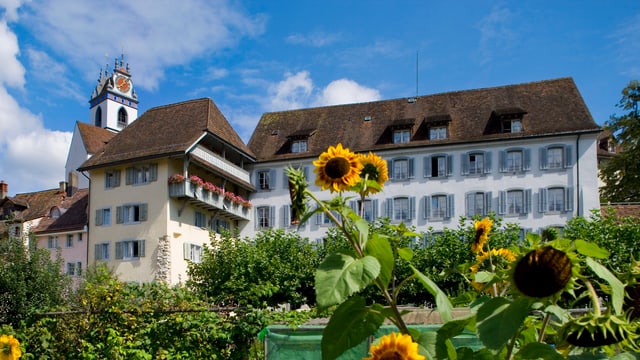Altes Gebäude in Altstadt, davor Garten mit Sonnenblumen. Altes Gebäude in Altstadt, davor Garten mit Sonnenblumen.