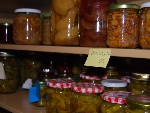 Aktuell - Ökologischer leben als Selbstversorger - Radio SRF 3 - SRF