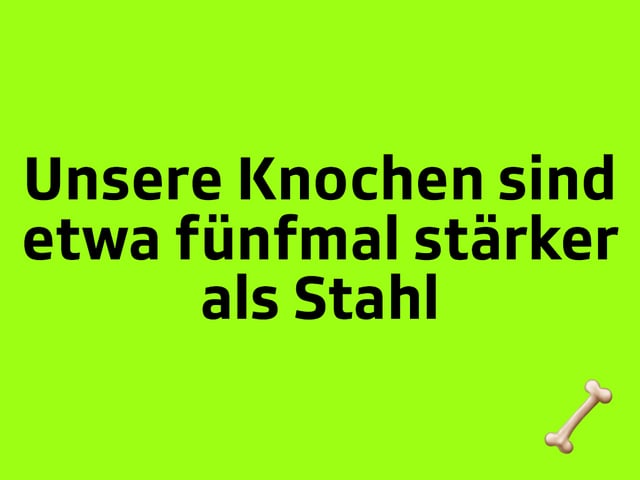 Texttafel: Unsere Knochen sind etwa fünfmal stärker als Stahl