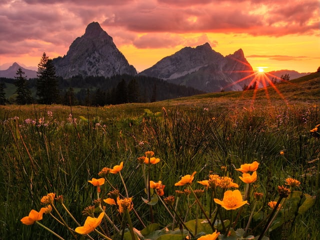 Bewölkter Himmel in gelben Tönen, davor zwei Gipfel und Blumenwiese im Vordergrund.