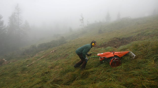 Mehr schützenswerte Trockenwiesen und Flachmoore in Graubünden