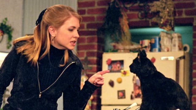 Fernsehhexe Sabrina und ihr sauglattistischer Fernsehkater Salem in der 90er-Version von «Sabrina». Fernsehhexe Sabrina und ihr sauglattistischer Fernsehkater Salem in der 90er-Version von «Sabrina».