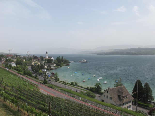 Seeufer mit Wiese und Weinberg, am Wasser Häuser, auf dem Wasser Wellen und Schiffe, auch eine Fähre. Das Licht ist diffus, der Himmel milchig vom Staub.