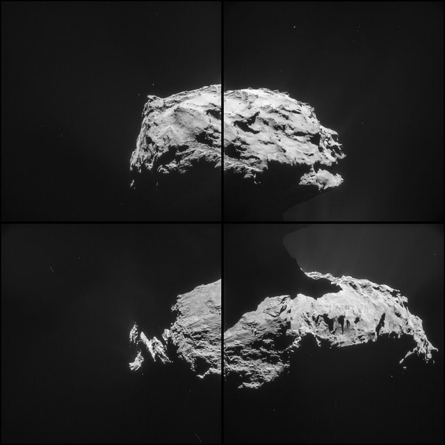 Blick auf den Hals des Kometen.