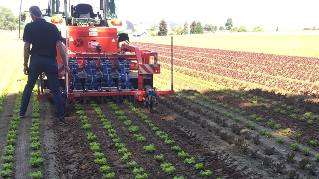 Traktor mit Hackroboter Traktor mit Hackroboter