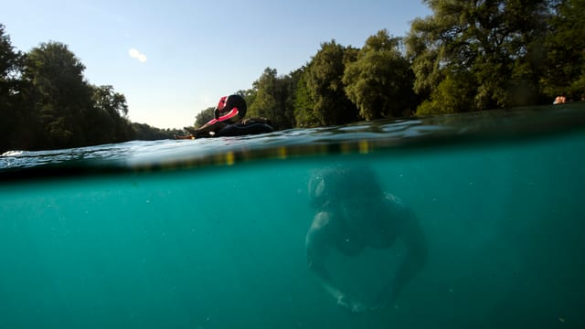 Ein Mensch taucht in der Aare Ein Mensch taucht in der Aare