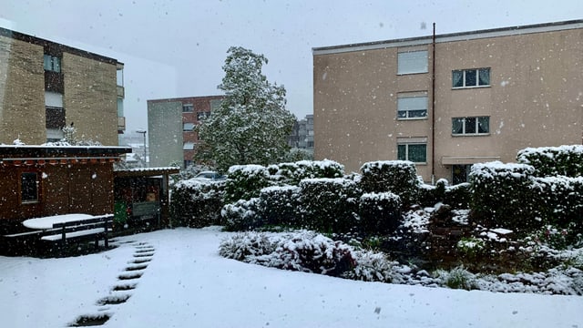 Verschneite Wiese vor Wohnblocks in Glarus Verschneite Wiese vor Wohnblocks in Glarus
